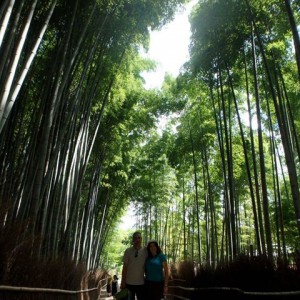 Bosque de bambú Arashiyama, Kyoto